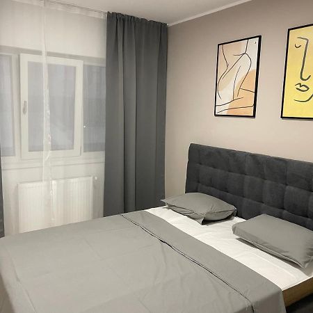 Modern Gray / Designed Iasi Exterior photo