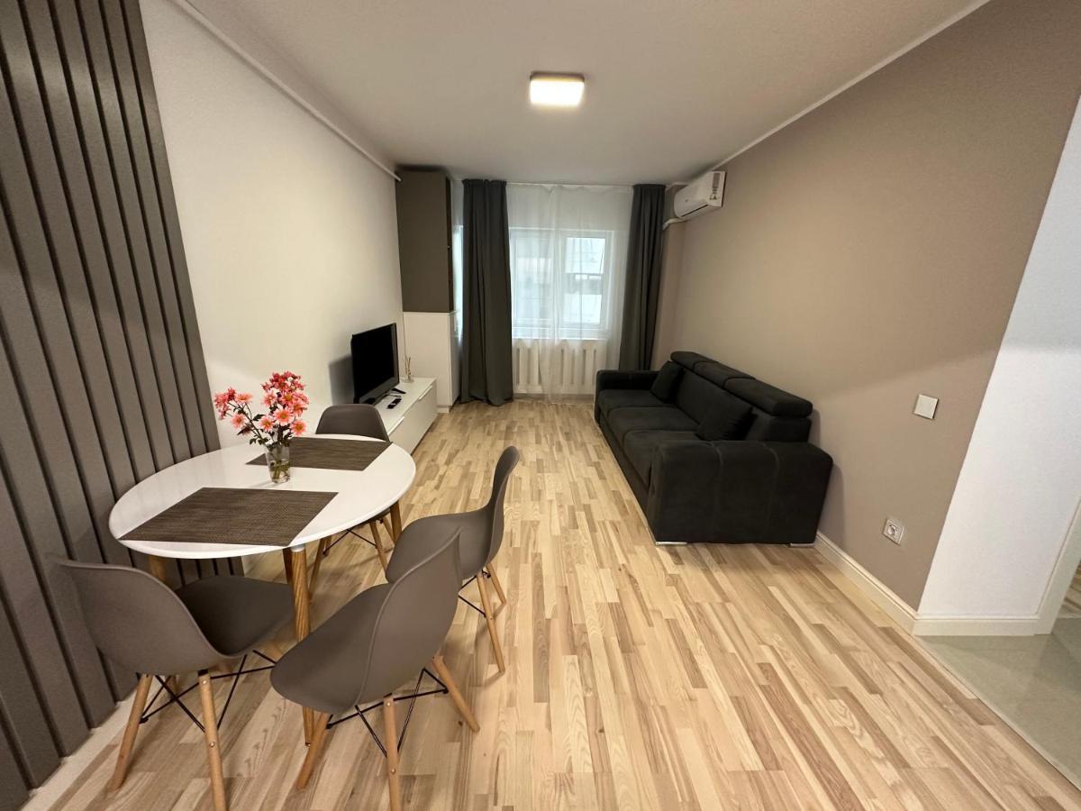 Modern Gray / Designed Iasi Exterior photo