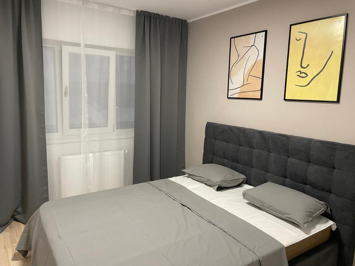 Modern Gray / Designed Iasi Exterior photo